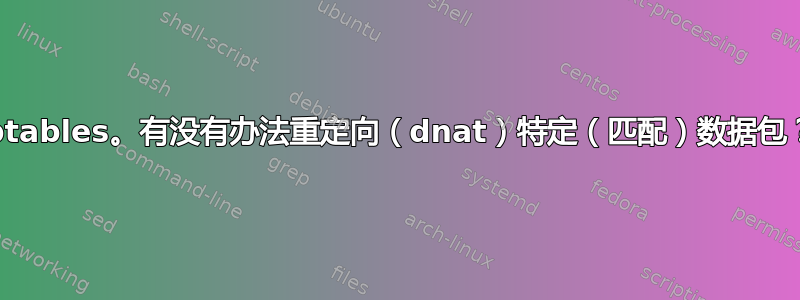 Iptables。有没有办法重定向（dnat）特定（匹配）数据包？