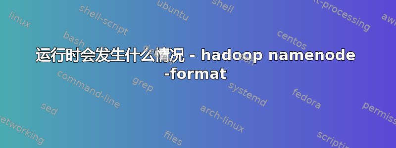 运行时会发生什么情况 - hadoop namenode -format