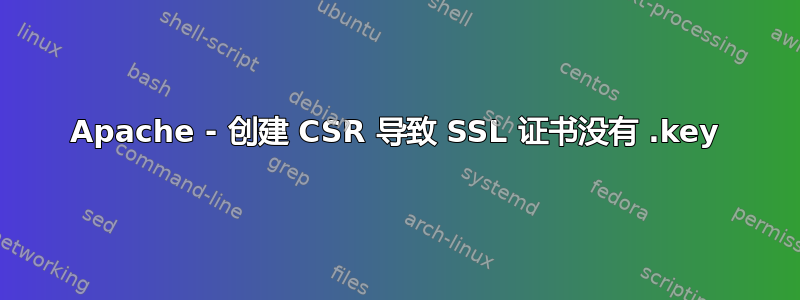 Apache - 创建 CSR 导致 SSL 证书没有 .key