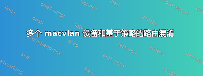 多个 macvlan 设备和基于策略的路由混淆