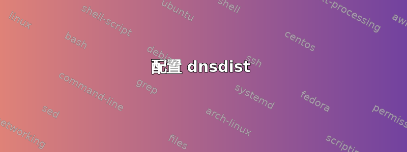 配置 dnsdist