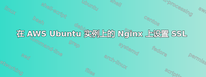 在 AWS Ubuntu 实例上的 Nginx 上设置 SSL