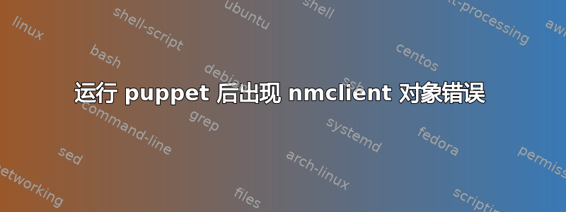 运行 puppet 后出现 nmclient 对象错误