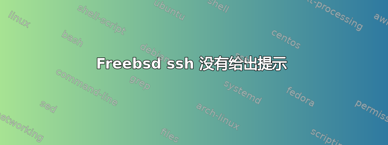 Freebsd ssh 没有给出提示