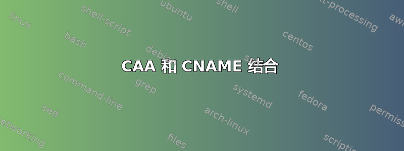 CAA 和 CNAME 结合