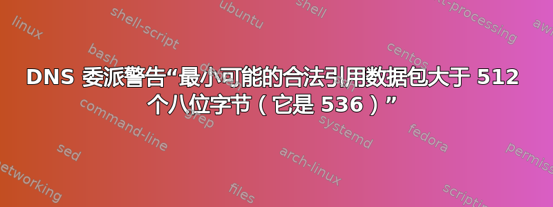 DNS 委派警告“最小可能的合法引用数据包大于 512 个八位字节（它是 536）”