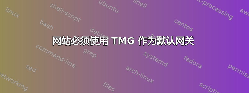 网站必须使用 TMG 作为默认网关