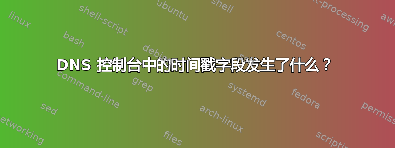 DNS 控制台中的时间戳字段发生了什么？