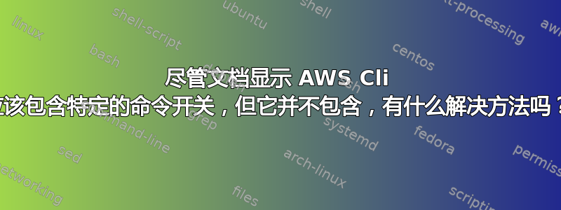 尽管文档显示 AWS Cli 应该包含特定的命令开关，但它并不包含，有什么解决方法吗？