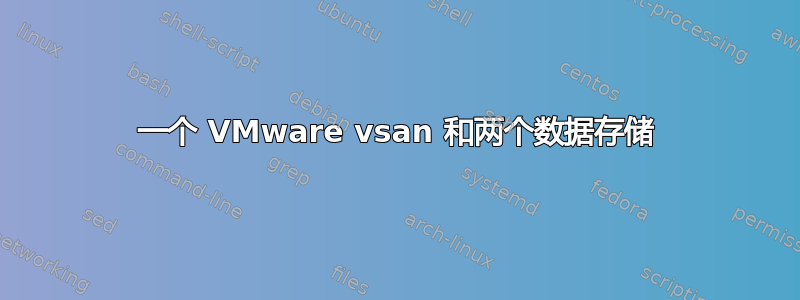 一个 VMware vsan 和两个数据存储