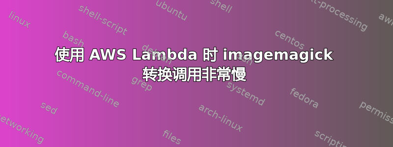 使用 AWS Lambda 时 imagemagick 转换调用非常慢