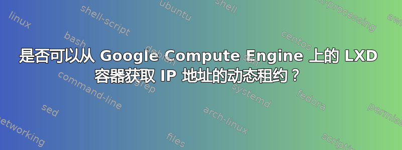 是否可以从 Google Compute Engine 上的 LXD 容器获取 IP 地址的动态租约？