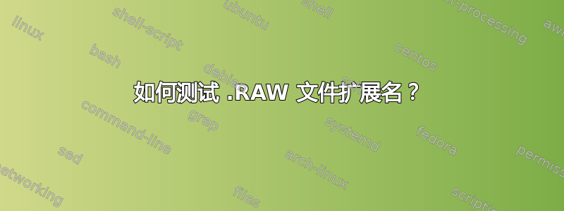 如何测试 .RAW 文件扩展名？