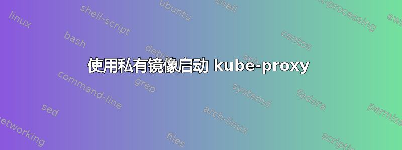 使用私有镜像启动 kube-proxy