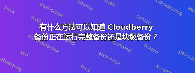 有什么方法可以知道 Cloudberry 备份正在运行完整备份还是块级备份？