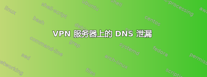 VPN 服务器上的 DNS 泄漏