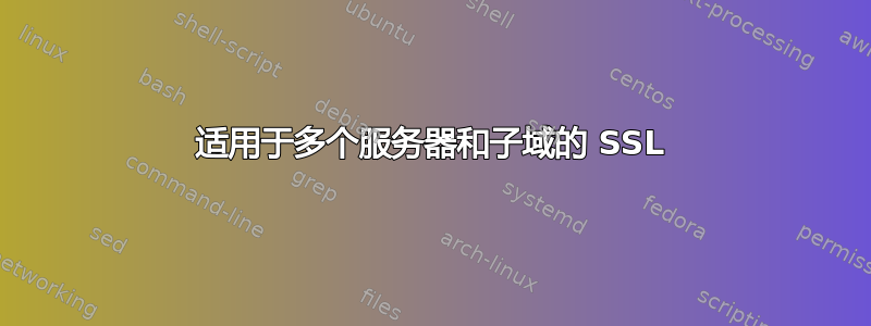 适用于多个服务器和子域的 SSL