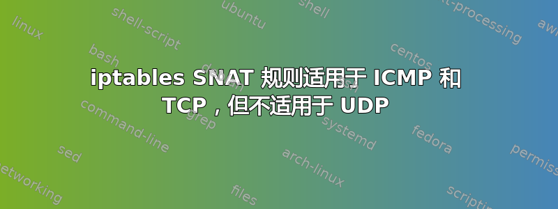 iptables SNAT 规则适用于 ICMP 和 TCP，但不适用于 UDP