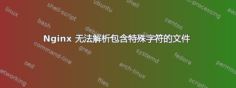 Nginx 无法解析包含特殊字符的文件