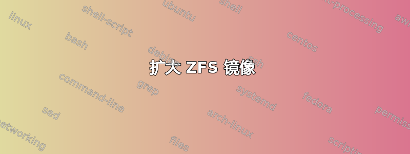 扩大 ZFS 镜像