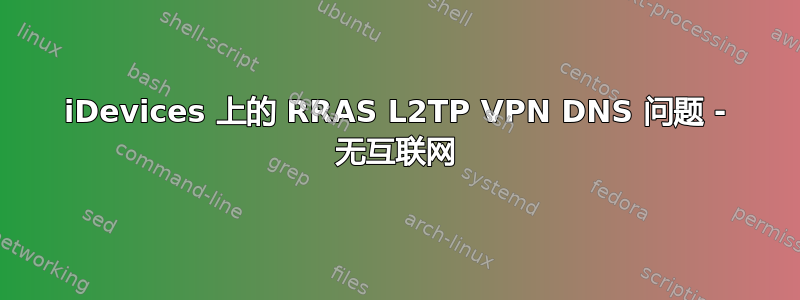 iDevices 上的 RRAS L2TP VPN DNS 问题 - 无互联网