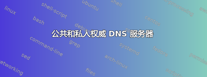 公共和私人权威 DNS 服务器