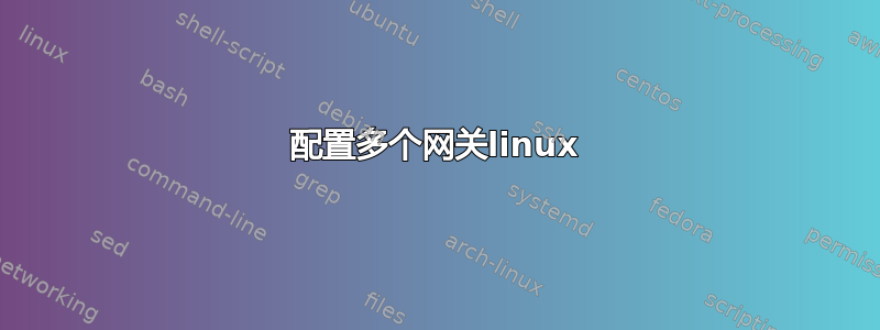 配置多个网关linux