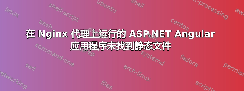 在 Nginx 代理上运行的 ASP.NET Angular 应用程序未找到静态文件