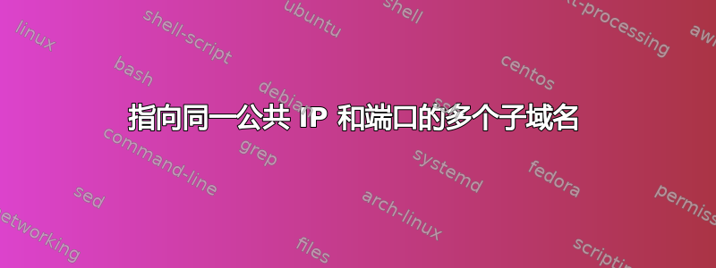 指向同一公共 IP 和端口的多个子域名