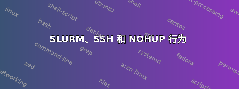 SLURM、SSH 和 NOHUP 行为