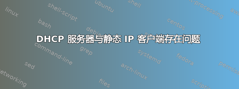 DHCP 服务器与静态 IP 客户端存在问题