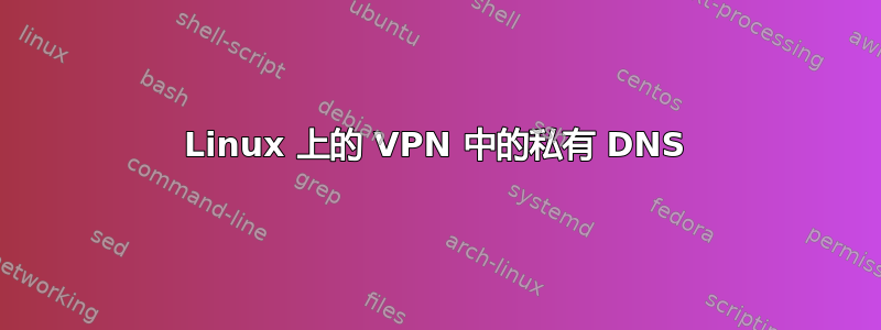 Linux 上的 VPN 中的私有 DNS