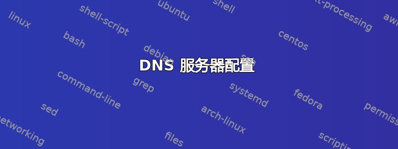 DNS 服务器配置