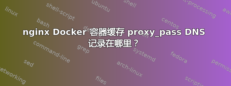 nginx Docker 容器缓存 proxy_pass DNS 记录在哪里？