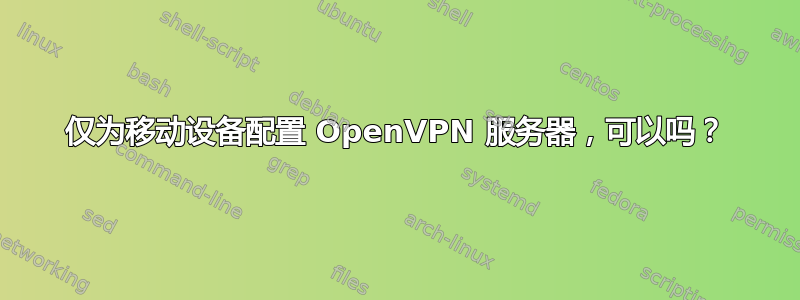 仅为移动设备配置 OpenVPN 服务器，可以吗？