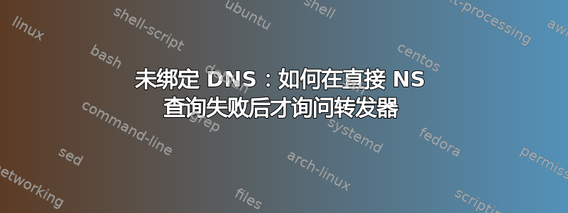 未绑定 DNS：如何在直接 NS 查询失败后才询问转发器