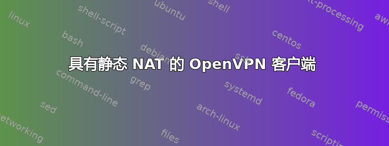 具有静态 NAT 的 OpenVPN 客户端