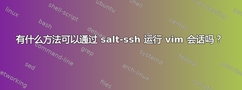 有什么方法可以通过 salt-ssh 运行 vim 会话吗？