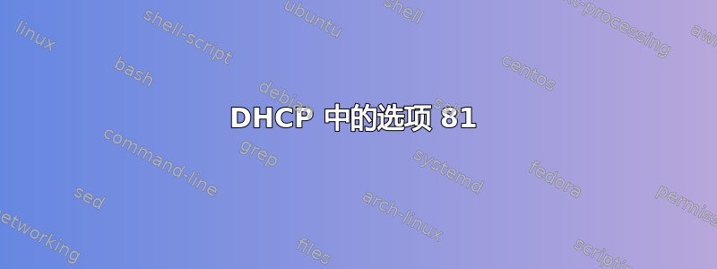 DHCP 中的选项 81