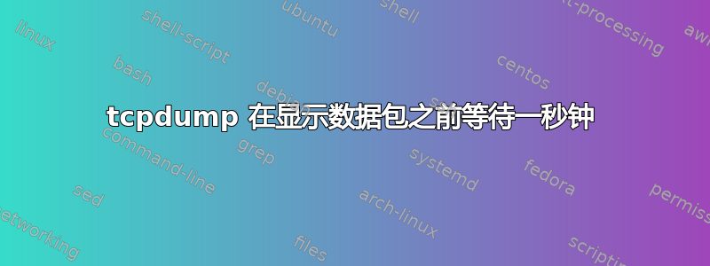 tcpdump 在显示数据包之前等待一秒钟