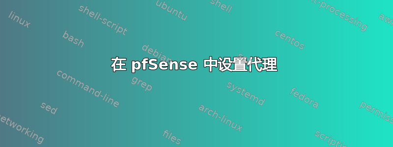 在 pfSense 中设置代理