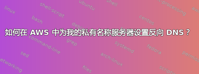 如何在 AWS 中为我​​的私有名称服务器设置反向 DNS？