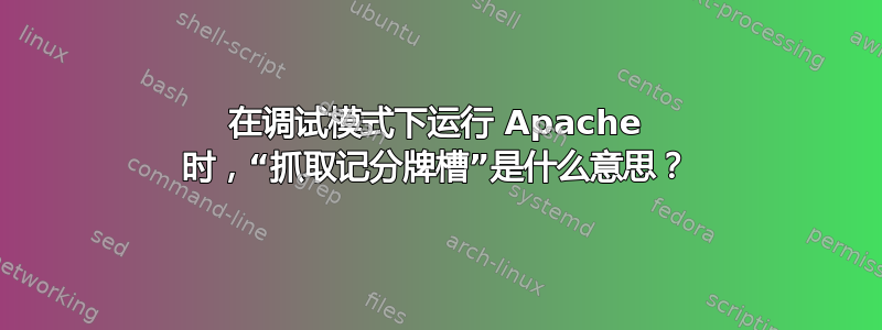 在调试模式下运行 Apache 时，“抓取记分牌槽”是什么意思？