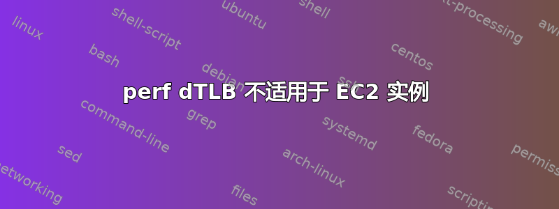 perf dTLB 不适用于 EC2 实例