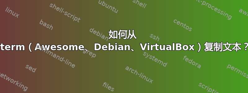 如何从 xterm（Awesome、Debian、VirtualBox）复制文本？