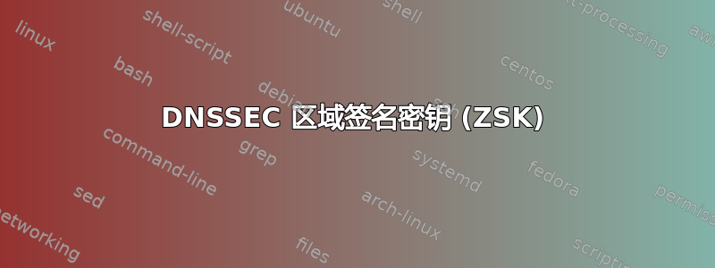 DNSSEC 区域签名密钥 (ZSK)