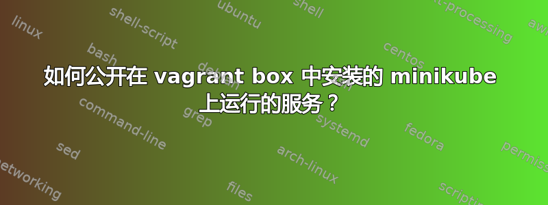 如何公开在 vagrant box 中安装的 minikube 上运行的服务？