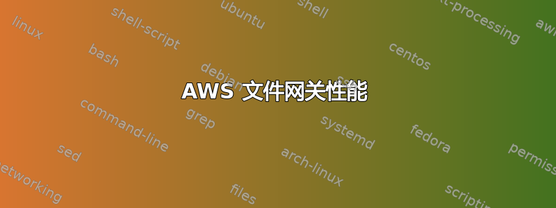 AWS 文件网关性能