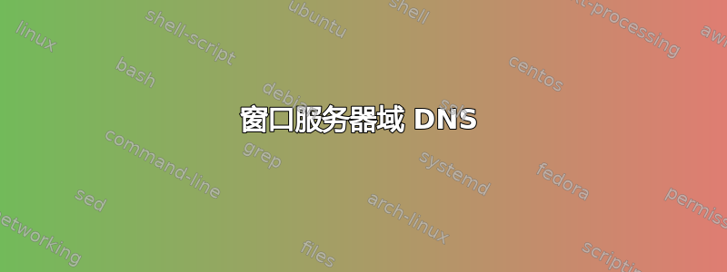 窗口服务器域 DNS