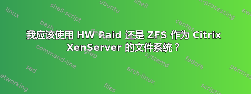 我应该使用 HW Raid 还是 ZFS 作为 Citrix XenServer 的文件系统？